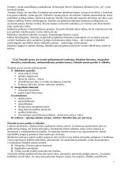 Lietuvių literatūros istorija 7 puslapis