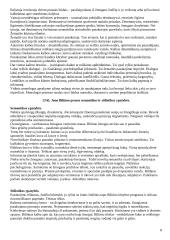 Lietuvių literatūros istorija 8 puslapis