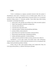 Verslo organizavimo formos ir jų pasirinkimo problema 2 puslapis