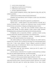 Verslo organizavimo formos ir jų pasirinkimo problema 5 puslapis