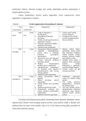 Verslo organizavimo formos ir jų pasirinkimo problema 6 puslapis