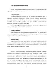 Verslo organizavimo formos ir jų pasirinkimo problema 7 puslapis