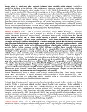 Lietuvių literatūros procesas 13 puslapis