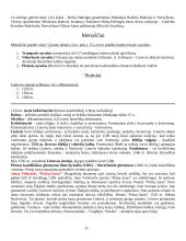 Lietuvių literatūros procesas 8 puslapis