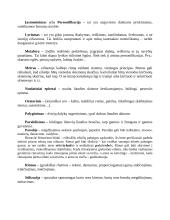 Lietuvių literatūros terminai, sąvokos ir žanrai 12 puslapis