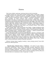 Lietuvių literatūros terminai, sąvokos ir žanrai 13 puslapis