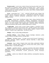 Lietuvių literatūros terminai, sąvokos ir žanrai 14 puslapis