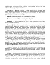 Lietuvių literatūros terminai, sąvokos ir žanrai 6 puslapis