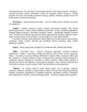 Lietuvių literatūros terminai, sąvokos ir žanrai 7 puslapis