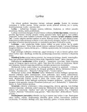 Lietuvių literatūros terminai, sąvokos ir žanrai 8 puslapis