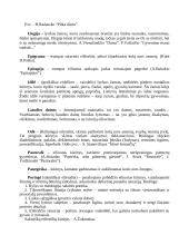 Lietuvių literatūros terminai, sąvokos ir žanrai 10 puslapis