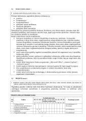 E-sveikatos paslaugų plėtra. Projekto paraiška 6 puslapis