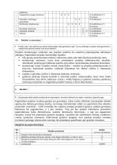 E-sveikatos paslaugų plėtra. Projekto paraiška 7 puslapis