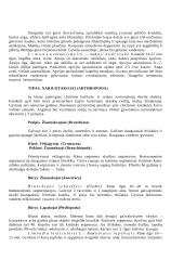 Lietuvos gėlųjų vandenų bestuburiai 7 puslapis