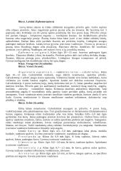 Lietuvos gėlųjų vandenų bestuburiai 10 puslapis