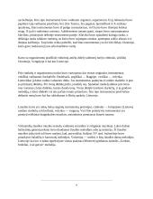 Muzikos istorijos pristatymas 8 puslapis