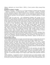 Literatūros istorija 2 puslapis