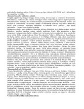 Literatūros istorija 3 puslapis