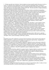 Literatūros procesas