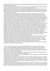 Literatūros procesas 2 puslapis