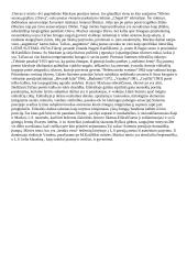 Literatūros procesas 13 puslapis
