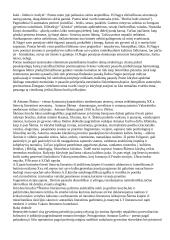 Literatūros procesas 8 puslapis