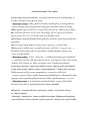 Literatūra ir grožinė literatūra 3 puslapis