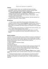 Literatūra ir grožinė literatūra 4 puslapis