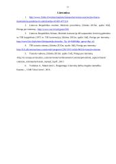 TIR tranzito sistema 10 puslapis