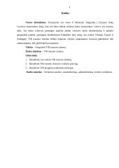 TIR tranzito sistema 2 puslapis