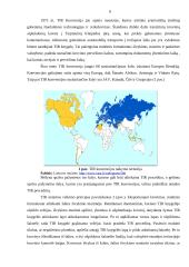 TIR tranzito sistema 5 puslapis