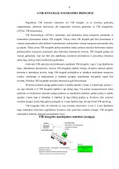 TIR tranzito sistema 7 puslapis