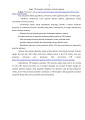 TIR tranzito sistema 8 puslapis