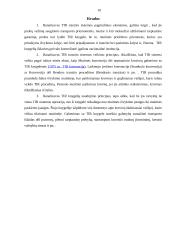 TIR tranzito sistema 9 puslapis