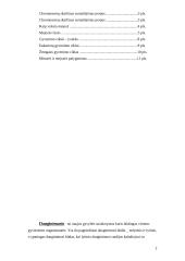 Lytinis dauginimasis 2 puslapis