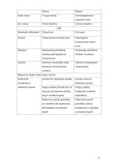 Lytinis dauginimasis 11 puslapis