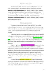 Lytinis dauginimasis 8 puslapis