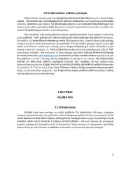 Kriptovaliutos reikšmė klimato kaitai 4 puslapis