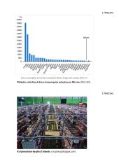 Kriptovaliutos reikšmė klimato kaitai 8 puslapis