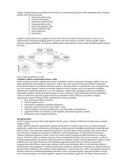 Įmonių logistika 12 puslapis