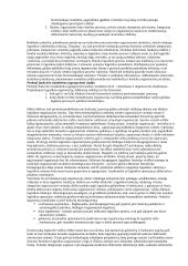 Įmonių logistika 19 puslapis