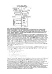 Įmonių logistika 10 puslapis