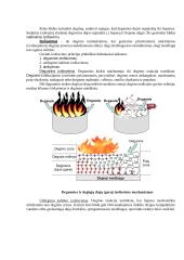 Gesinimo teorijos pagrindai 2 puslapis