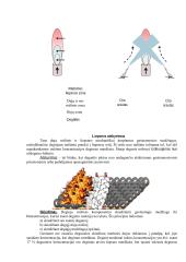 Gesinimo teorijos pagrindai 3 puslapis