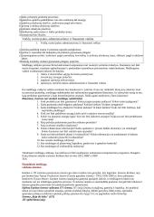 Logistikos įvadas 6 puslapis