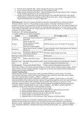 Logistikos įvadas 7 puslapis