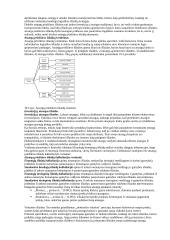 Logistika - teorija 6 puslapis