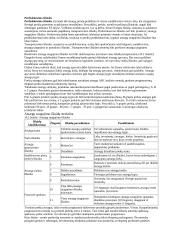 Logistika - teorija 8 puslapis