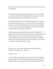 Darbo kultūra UAB „Senukai“ 9 puslapis