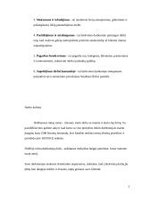 Darbo kultūra UAB „Senukai“ 3 puslapis